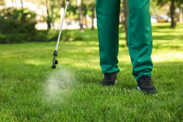 Best Pest Control Treatment  in Hillsdale, NJ