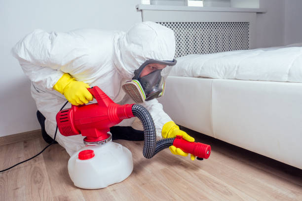 Best Bed Bug Extermination  in Hillsdale, NJ