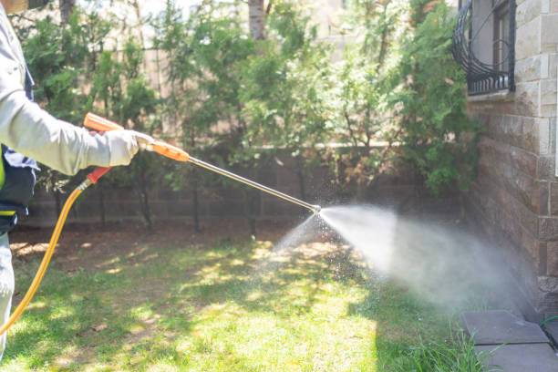 Best Termite Control Services  in Hillsdale, NJ