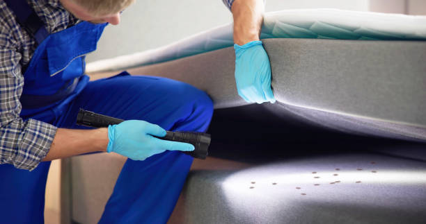 Best Pest Prevention Services  in Hillsdale, NJ
