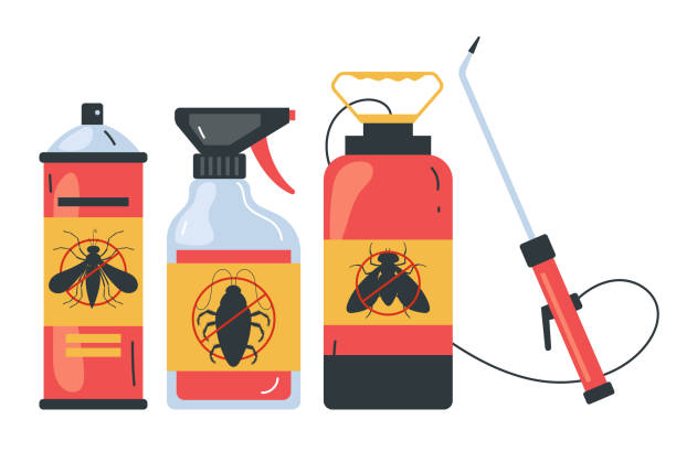 Best Spider Control Near Me  in Hillsdale, NJ