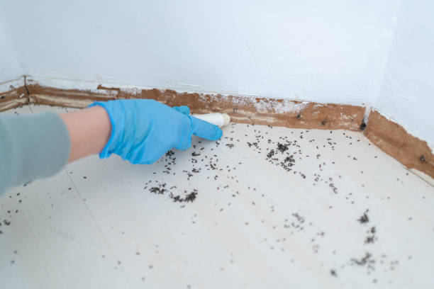 Best Best Pest Control Companies  in Hillsdale, NJ