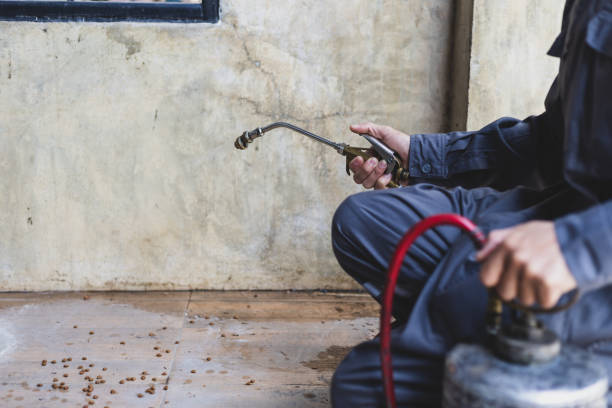 Best Exterminator Services  in Hillsdale, NJ